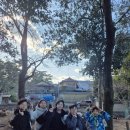 용인대백운태권도 이미지