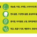 로하스이비인후과