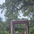 갈맷길2-1 이미지