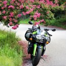 배롱나무길 이미지