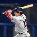 이용규 카카오 검색결과