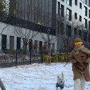 테라피요가 A 이미지