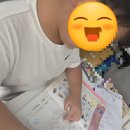 다감논술