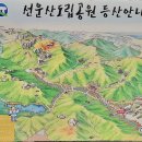 선운산 이미지