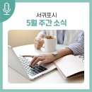 서귀포관악단 제78회 정기연주회 | 서귀포시 주간소식 5월 첫째주