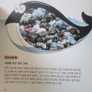 추천도서 1학년 교과연계 &lt;칙칙팥팥&gt; &lt;플라스틱의정체를밝혀라&gt;