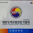 드메이 이미지