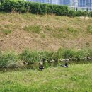 갈매수질복원센터 이미지