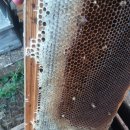 구항면 소반마을회관 이미지