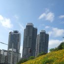 웅천청소년공원 이미지