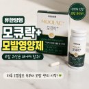 셀렌바이옴 | 모발영양제 추천 유한양행 모큐락 플러스 후기