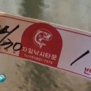 자일낚시터 | 경기도 의정부 하우스 낚시터 자일낚시터 - 내림낚시 참 어렵네... [19.01.30]