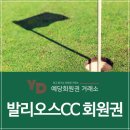 신창기업(주) 발리오스승마장 이미지