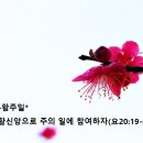 부활신앙으로 주의 일에 참여하자(요20:19~23) 이미지