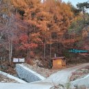 중촌경로당(가북면) 티스토리