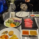 쌍문역 태국식 샤브샤브 수끼 맛집 킹샤브샤브 애견 동반까지 가능한 도봉구 맛집