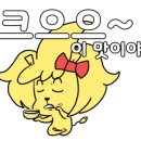 식스시즌스 이미지