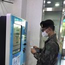 힐링 토마토 사우나 이미지