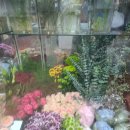 초원꽃집 이미지