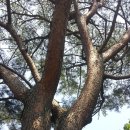 대성골2 이미지