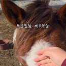 다우목장 이미지