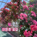 꽃길헤어샵