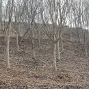 우산농원