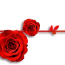 정필수님 생신 진심으로 축하드려요 이미지