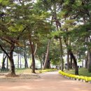 심봤다민박 | 안동,영주,봉화 삼색 여행1 - 서원 탐방