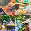 여행 일본어(특별) | 부산 아이와 함께 가볼만한곳 5, 체험 여행 리스트 총정리