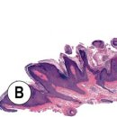 평화동-03 이미지