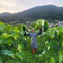 백연농장 이미지