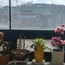 해양동주민자치센터 이미지