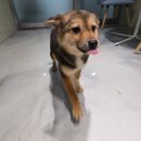 토실 토실 이미지