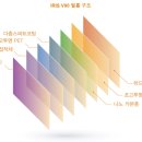 맥과이어스 이미지