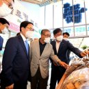 임실치즈축산업협동조합 이미지