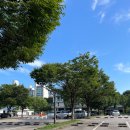 뚝섬한강공원-55 | 뚝섬한강공원 주차와 러닝코스, 스타벅스 뚝섬한강공원점