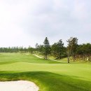 테디밸리CC 이미지