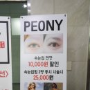 피오니왁싱