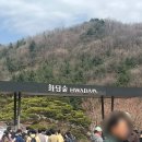 내년을 기약한다 화담숲(모노레일 꿀팁, 근처 맛집)