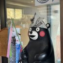 구마모토 투어 고고데이 트래블 내돈내산 솔직후기
