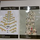 용평제2차콘도미니엄(타워,빌라) | 강원도 평창 숙소 모나용평 타워콘도 온돌 후기