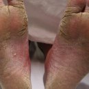 경희강추한의원 이미지