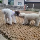 멍스테이션 이미지