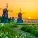 칼럼니스트 이지숙 작가 뉴스앤북 10월 칼럼 ㅡ 우리는 추억으로 산다 이미지