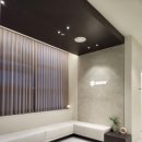 스노우의원 이미지