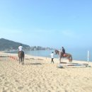 장사해수욕장관광지 이미지