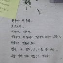 진광합기도 네이버블로그