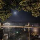 바다풍경펜션도시어부 이미지