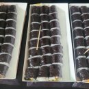 홍진김밥 이미지